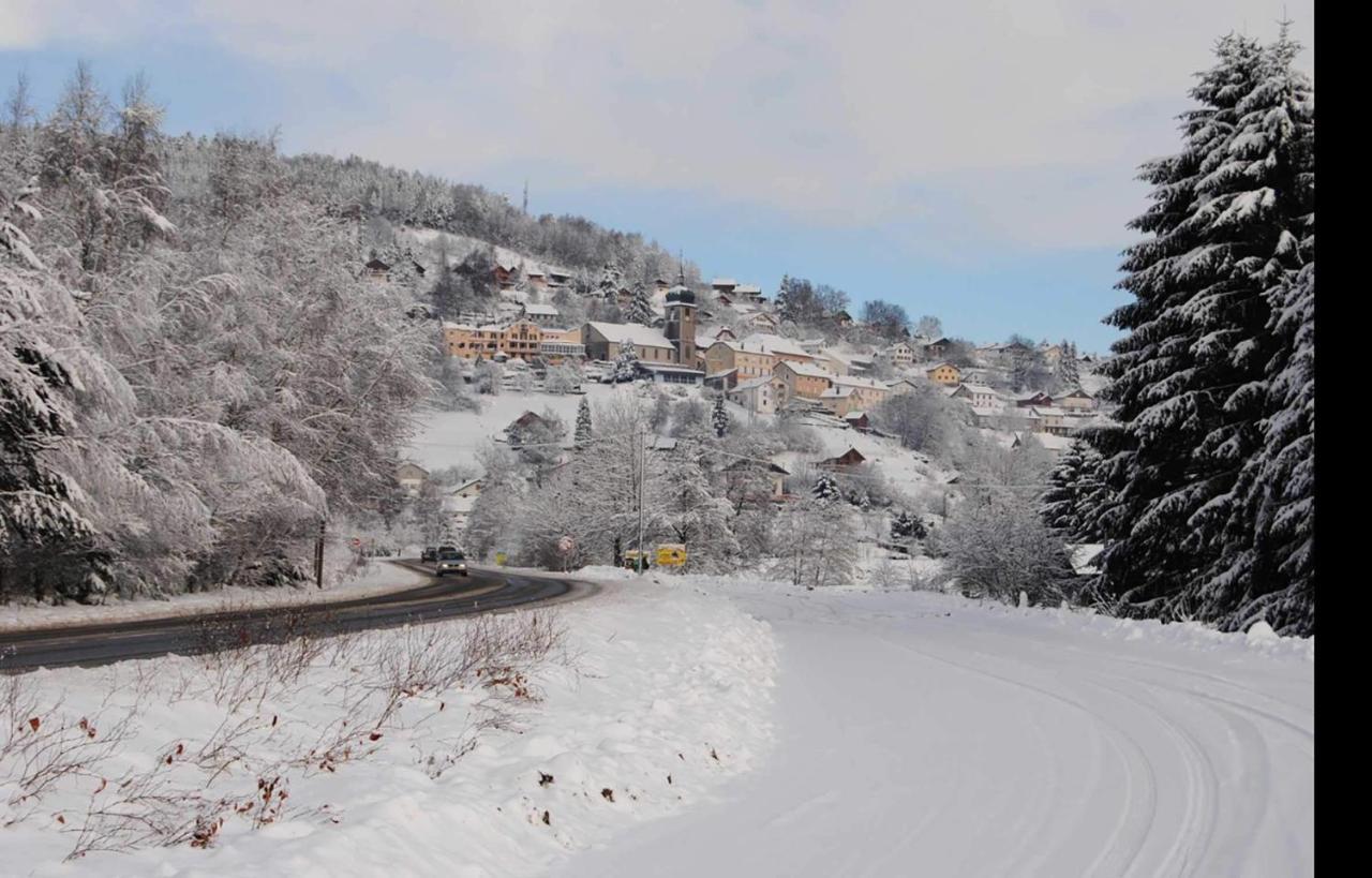 Chalet le Grizzly Le Tholy Kültér fotó